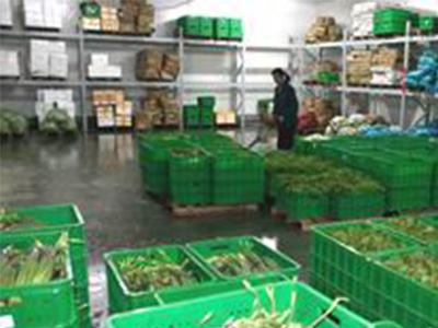 周轉（zhuǎn）箱的應用